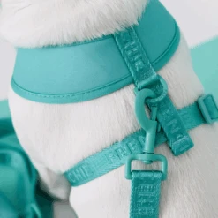 Frenchie Duo Reversible Harness - Aqua -Bandana Buddy Shop AquaLA Purple