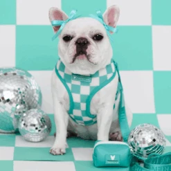 Frenchie Duo Reversible Harness - Aqua -Bandana Buddy Shop AquaLA Purple 1