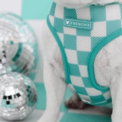 Frenchie Duo Reversible Harness - Aqua -Bandana Buddy Shop AquaLA Purple 3
