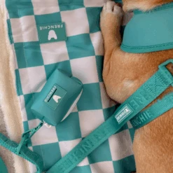 Frenchie Poo Bag Holder - Aqua -Bandana Buddy Shop Aqua 1