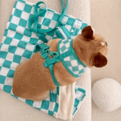 Frenchie Duo Reversible Harness - Aqua -Bandana Buddy Shop Aqua 10 018e1388 b9ad 43cb 95bc c9a2eb0a17f2