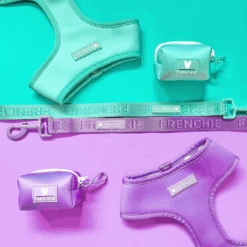 Frenchie Comfort Leash - LA Purple 11 Frenchie Comfort Leash - LA Purple -Bandana Buddy Shop Aqua 12 1 3