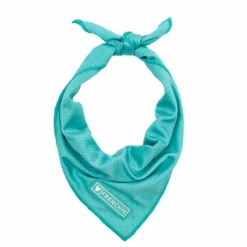 Frenchie Cooling Bandana - Aqua