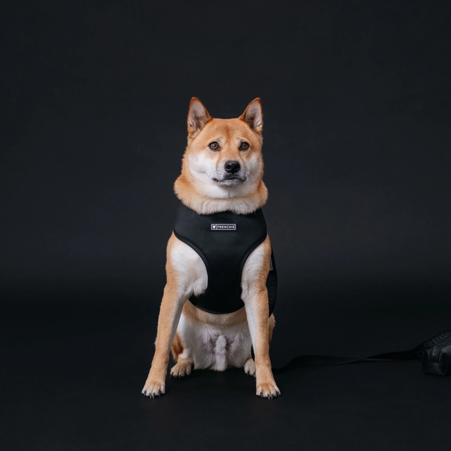 Frenchie Duo Reversible Harness - Black 4 Frenchie Duo Reversible Harness - Black - Image 2