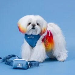 Frenchie Duo Reversible Harness - Blue Steel -Bandana Buddy Shop Blue Steel 1