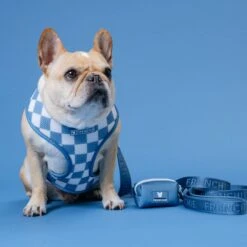 Frenchie Duo Reversible Harness - Blue Steel -Bandana Buddy Shop Blue Steel 22