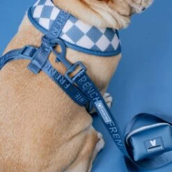 Frenchie Duo Reversible Harness - Blue Steel -Bandana Buddy Shop Blue Steel 25