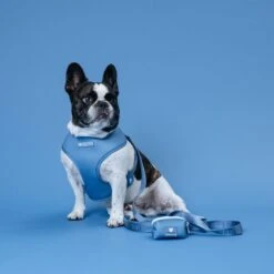Frenchie Duo Reversible Harness - Blue Steel -Bandana Buddy Shop Blue Steel 9 ee725cd4 e15a 44bf 81cd 607f007e33f7