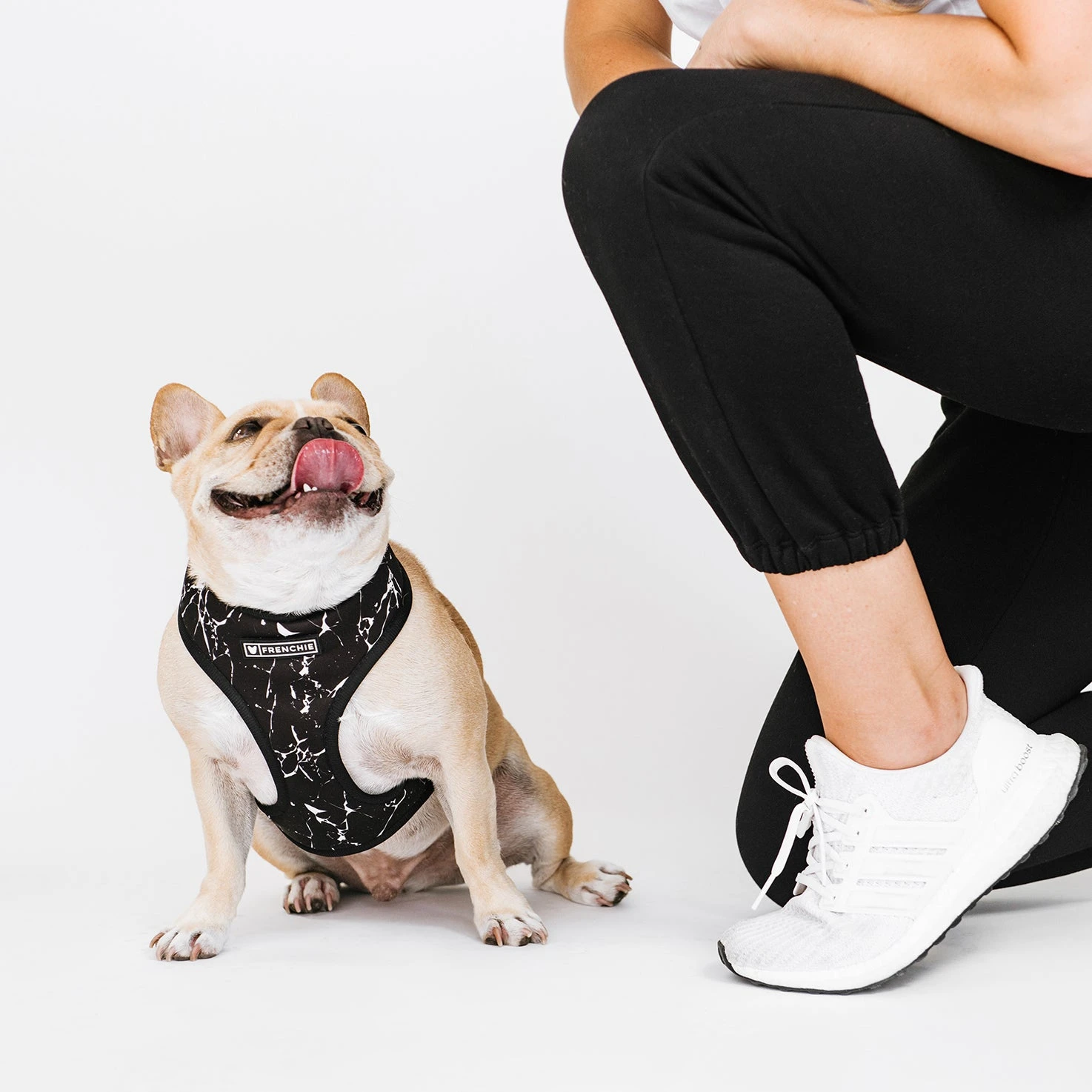 Frenchie Duo Reversible Harness - Black Marble 4 Frenchie Duo Reversible Harness - Black Marble - Image 2