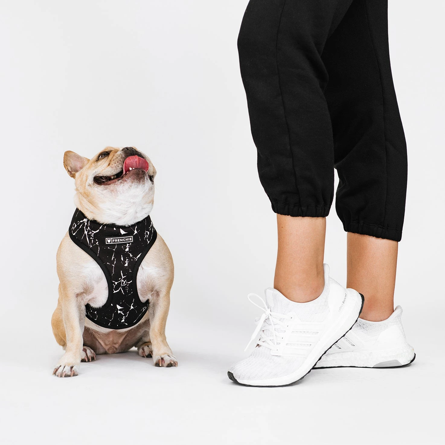 Frenchie Duo Reversible Harness - Black Marble 9 Frenchie Duo Reversible Harness - Black Marble - Image 7