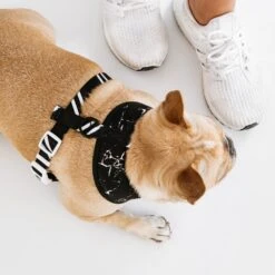 Frenchie Duo Reversible Harness - Black Marble 17 Frenchie Duo Reversible Harness - Black Marble -Bandana Buddy Shop Copy of DSC 8975