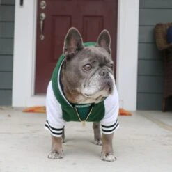 Frenchie Dog Hoodie - Emerald City Varsity -Bandana Buddy Shop Emerald City Varsity 1