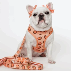 Frenchie Comfort Leash - French Potato 10 Frenchie Comfort Leash - French Potato -Bandana Buddy Shop French Potato 1 1 1