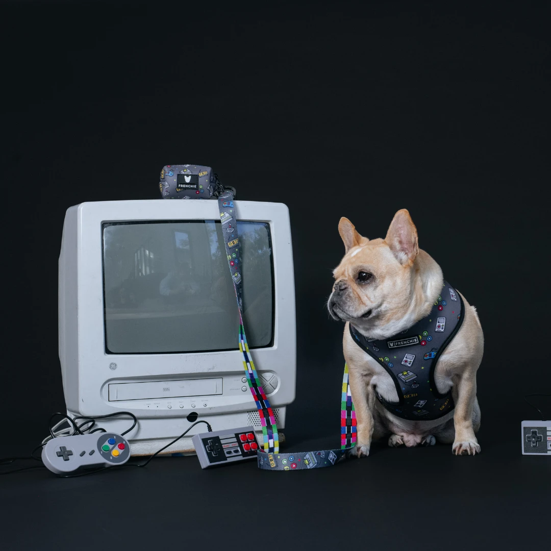 Frenchie Comfort Leash - Gamer 5 Frenchie Comfort Leash - Gamer - Image 3