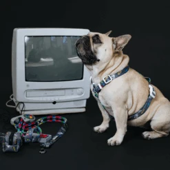 Frenchie Strap Harness - Gamer -Bandana Buddy Shop Gamer 12