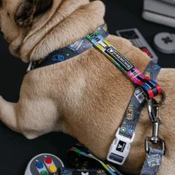 Frenchie Strap Harness - Gamer -Bandana Buddy Shop Gamer 13