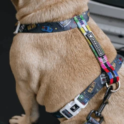 Frenchie Strap Harness - Gamer -Bandana Buddy Shop Gamer 14