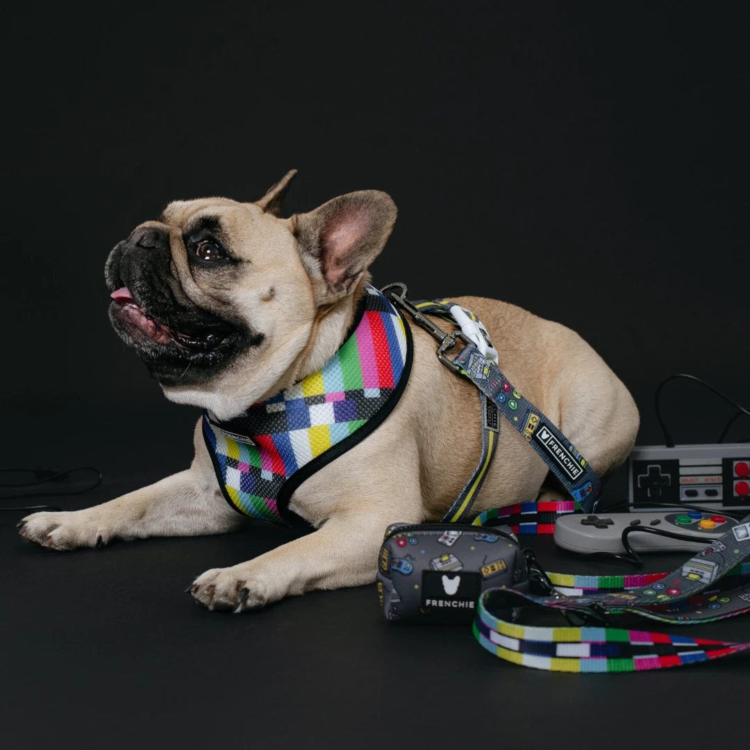 Frenchie Comfort Leash - Gamer 6 Frenchie Comfort Leash - Gamer - Image 4
