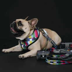 Frenchie Duo Reversible Harness - Gamer -Bandana Buddy Shop Gamer 15 e492c216 541f 4704 9891 caba7e1c6ce3