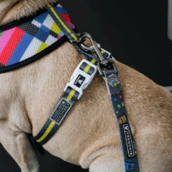 Frenchie Duo Reversible Harness - Gamer -Bandana Buddy Shop Gamer 16