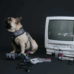 Frenchie Poo Bag Holder - Gamer -Bandana Buddy Shop Gamer 17 1