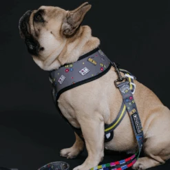Frenchie Duo Reversible Harness - Gamer -Bandana Buddy Shop Gamer 18