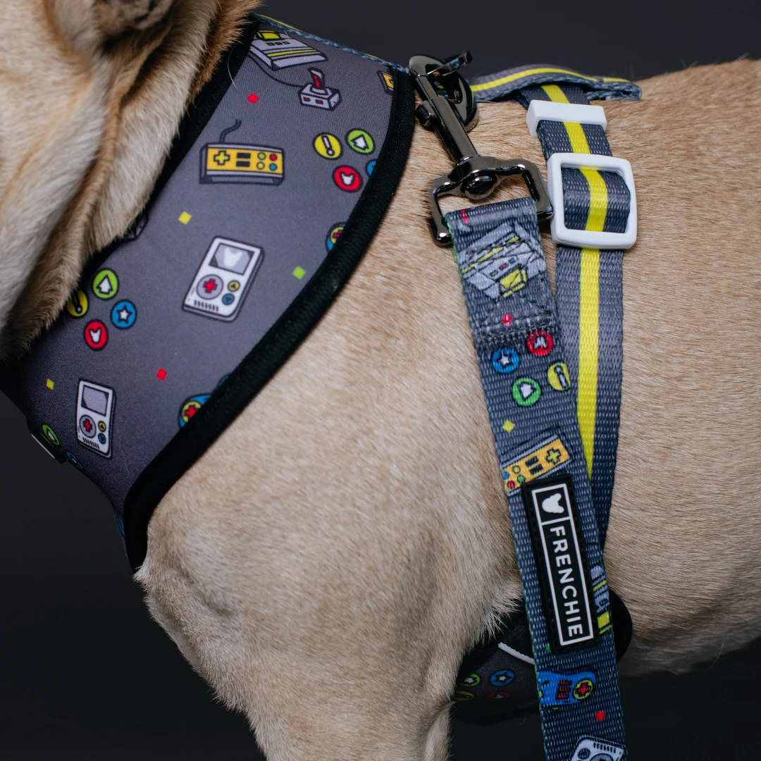 Frenchie Comfort Leash - Gamer 7 Frenchie Comfort Leash - Gamer - Image 5