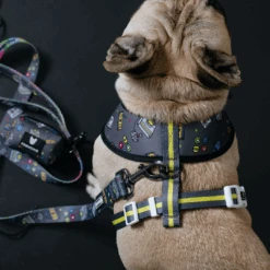 Frenchie Duo Reversible Harness - Gamer -Bandana Buddy Shop Gamer 23