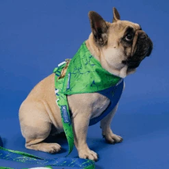 Frenchie Cooling Bandana - Green Marble -Bandana Buddy Shop Green Marble 16