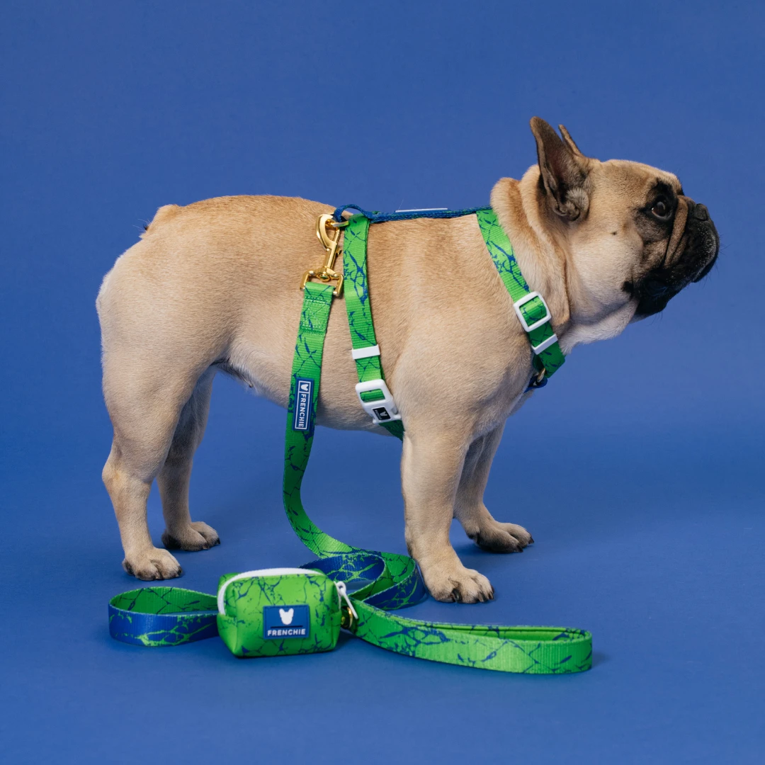 Frenchie Strap Harness - Green Marble 7 Frenchie Strap Harness - Green Marble - Image 5