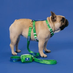 Frenchie Poo Bag Holder - Green Marble 12 Frenchie Poo Bag Holder - Green Marble -Bandana Buddy Shop Green Marble 23 fee0d270 542d 4671 a351 9d61d5258431