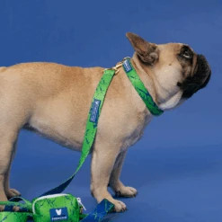 Frenchie Comfort Collar - Green Marble -Bandana Buddy Shop Green Marble 25