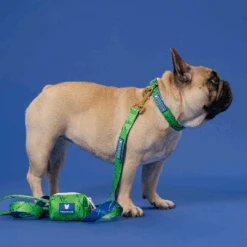 Frenchie Comfort Collar - Green Marble -Bandana Buddy Shop Green Marble 29 9a4b82ab 691e 47c8 803c e9742ade1980