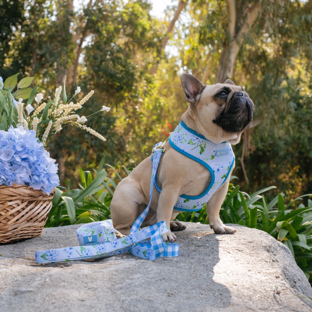 Frenchie Duo Reversible Harness - Hydrangea 4 Frenchie Duo Reversible Harness - Hydrangea - Image 2