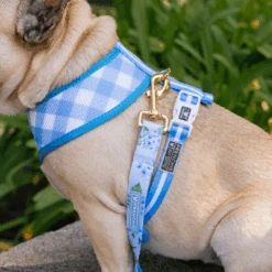 Frenchie Duo Reversible Harness - Hydrangea 13 Frenchie Duo Reversible Harness - Hydrangea -Bandana Buddy Shop Hydrangea 11