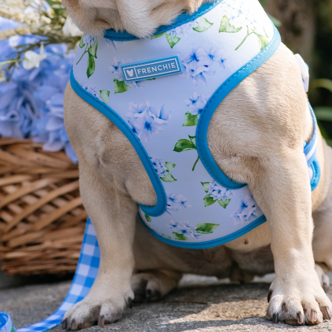 Frenchie Duo Reversible Harness - Hydrangea 8 Frenchie Duo Reversible Harness - Hydrangea - Image 6