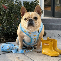 Frenchie Poo Bag Holder - It's Raining Frenchies -Bandana Buddy Shop IT S RAINING FRENCHIES 09ec2952 e89a 4efb 8a76 a74069fa3e74