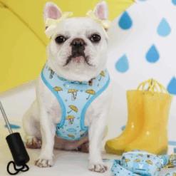 Bandana Buddy Shop 10 Bandana Buddy Shop -Bandana Buddy Shop IT S RAINING FRENCHIES 11