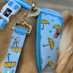Frenchie Duo Reversible Harness - It's Raining Frenchies -Bandana Buddy Shop IT S RAINING FRENCHIES 2