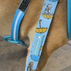 Frenchie Comfort Leash - It's Raining Frenchies -Bandana Buddy Shop IT S RAINING FRENCHIES 4