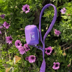 Frenchie Comfort Leash - LA Purple 9 Frenchie Comfort Leash - LA Purple -Bandana Buddy Shop LA Purple 8