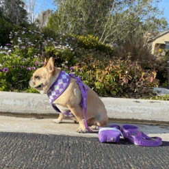 Frenchie Poo Bag Holder - LA Purple 9 Frenchie Poo Bag Holder - LA Purple -Bandana Buddy Shop LA Purple 9