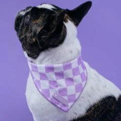 Frenchie Cooling Bandana - Lavender 8 Frenchie Cooling Bandana - Lavender -Bandana Buddy Shop Lavender 19