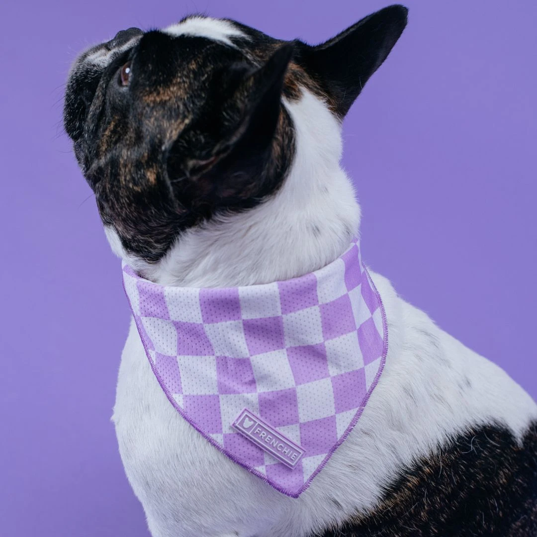 Frenchie Cooling Bandana - Lavender 5 Frenchie Cooling Bandana - Lavender - Image 3