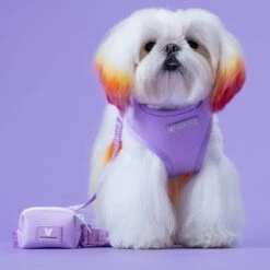 Bandana Buddy Shop 16 Bandana Buddy Shop -Bandana Buddy Shop Lavender 24