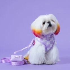 Frenchie Duo Reversible Harness - Lavender -Bandana Buddy Shop Lavender 25