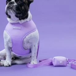 Frenchie Duo Reversible Harness - Lavender -Bandana Buddy Shop Lavender 3