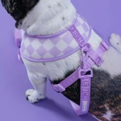 Frenchie Duo Reversible Harness - Lavender -Bandana Buddy Shop Lavender 8