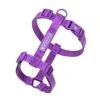 Frenchie Strap Harness - LA Purple -Bandana Buddy Shop Orchidproduct142