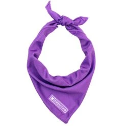 Frenchie Cooling Bandana - LA Purple